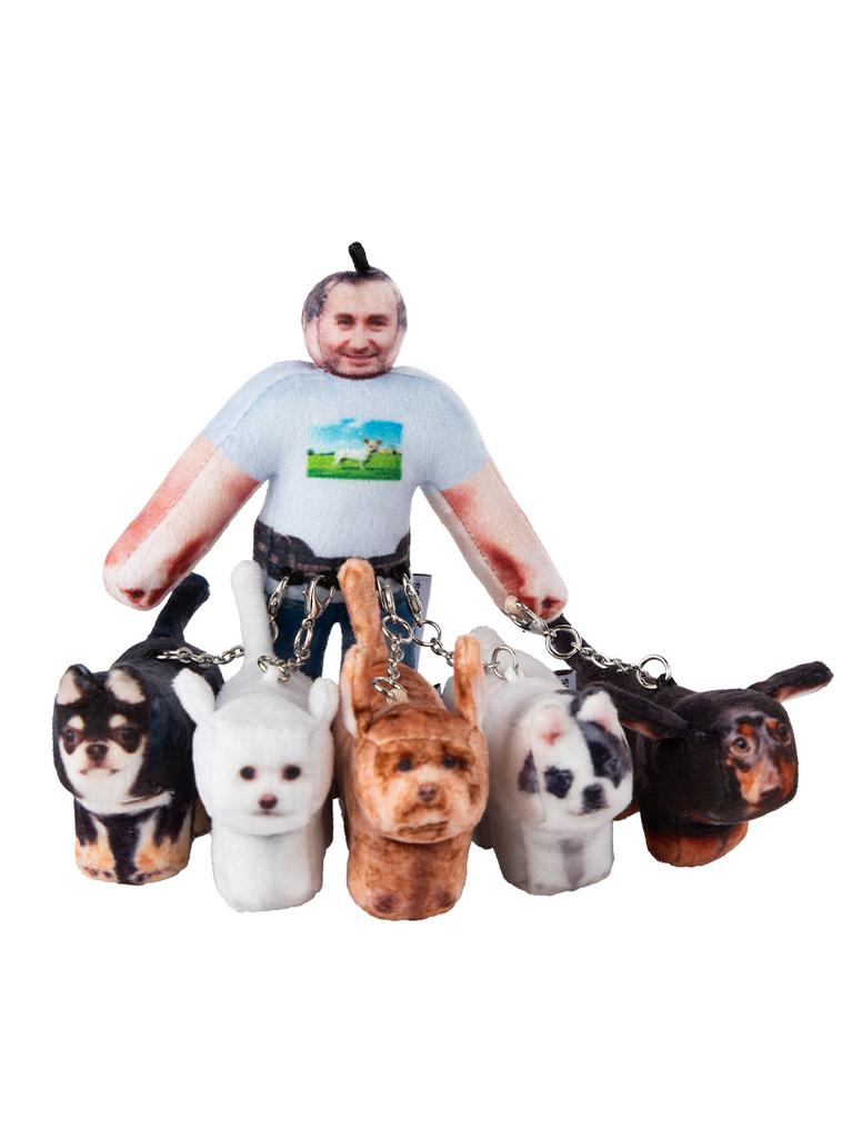 SOFTTHUMBNAIL Daniel 32, Dog Walker