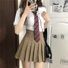 Uniform Skirt Uniform Set Pleated Skirt Halloween Costume Cosplay Photo Shoot Party Costume JK Skirt Long Sleeve White Shirt Tie School Skirt 3 Piece