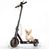 Monopattino Elettrico per Adulti con Freccia e App, Autonomia 30-35 km, E-Scooter Pieghevole Ultraleggero da 8,5", Motore 350W, 3 Modalità di Velocità, TODIMART T3S