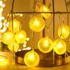 LED Fruit Decorative String Lights Plug-in Lemon Slice Design 5 Meters 20 LED Bulbs Indoor Outdoor Use