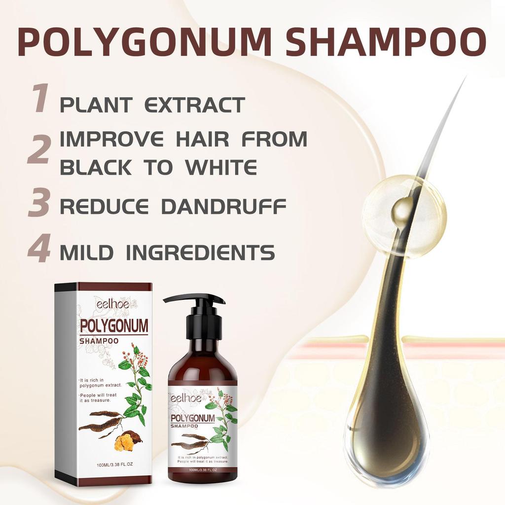 EELHOE Polygonum multiflorum Shampoo 100ml Natürliches Haarwachstum förderndes Öl Nährt das Haar Reduziert Haarausfall Haarpflege Natürliches schwarzes Haar