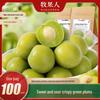 Muguoren Crispy Green Plums