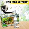 Mouth Breeder Fish Eggs  Hatchery Tumbler Incubator Aquarium Accessories Fish Ovum Incubator