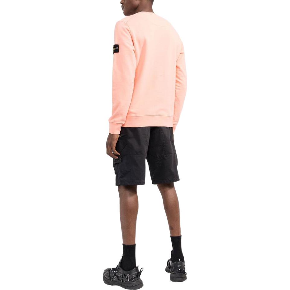 Stone Island FW22 Solid Color Logo Patch Pullover Crewneck Sweatshirt Men sweatshirt Beige 771563020-V0083