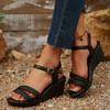 Women's Sandals  Summer Peep Toe New Wedges Fashion Dress Sandals Women Buckle Strap Platform High Heels Sandalias De Mujer