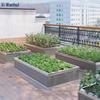Xīwànhuī Outdoor Garden Flower Box