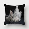 Cute Cat Print Decorative Cushions Pillowcase Polyester Cushion Cover Throw Pillow Sofa Living Room Decoration Pillowcover