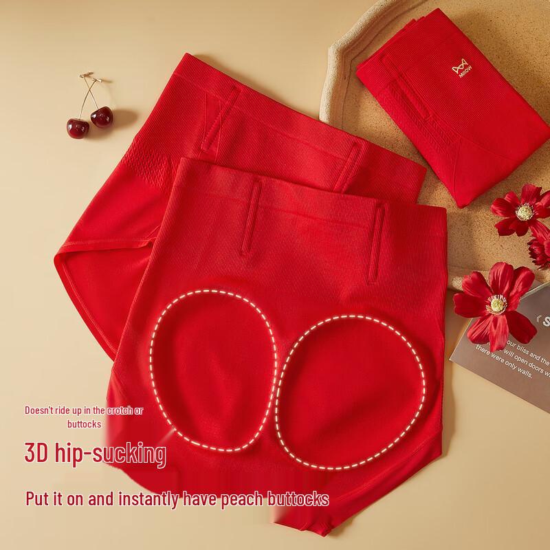 Maoren Women's High-Waist Tummy Control Briefs