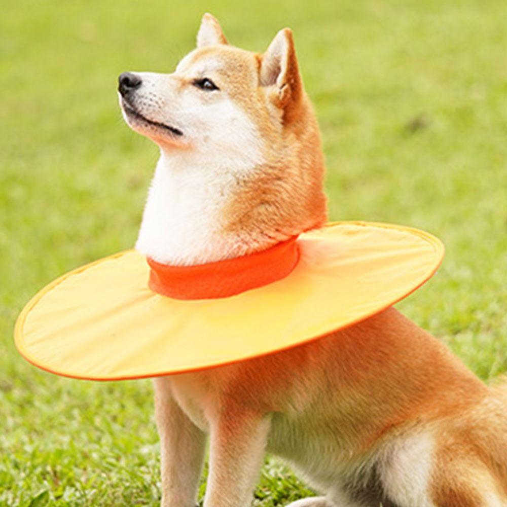 Adjustable Pet Recovery Collars Oxford Cloth Cat Cone Elizabethan Collar  Pet Supplies