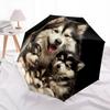 Three Wolves  Pattern, Automatic Folding Umbrella, Portable and Foldable Design, 8 Ribs, a Christmas or Birthday Gift.