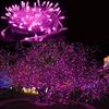 LED String Lights Built-in Switch Garden Decoration