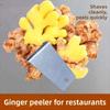 Household Kitchen Ginger Scraper