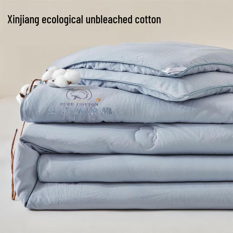 LISM Thickened Warm Cotton Quilt