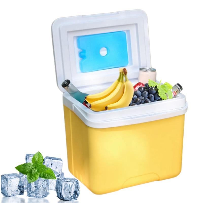 6L Outdoor Camping Coolers Ice Box Insulated Ice Chest Car Refrigerator Incubator Outdoor Hard Coolers Easy To Use