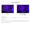 ReFa FINE BUBBLE U+ Water Stop Model Limited Store Exclusive Shoppers Set White