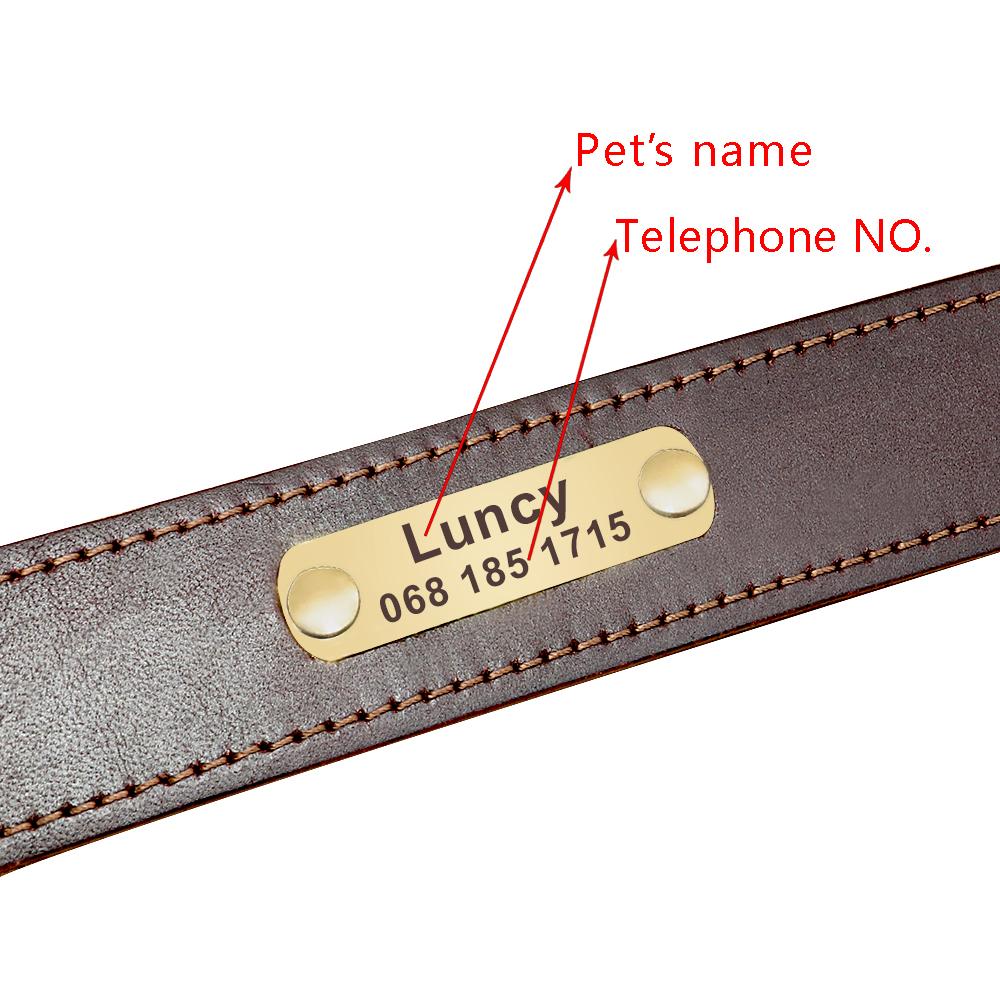 Personalized PU Leather Dog Collar Free Engraved Dog ID Tag Collars Pet Training Quick Control Necklace With Handle For Dogs