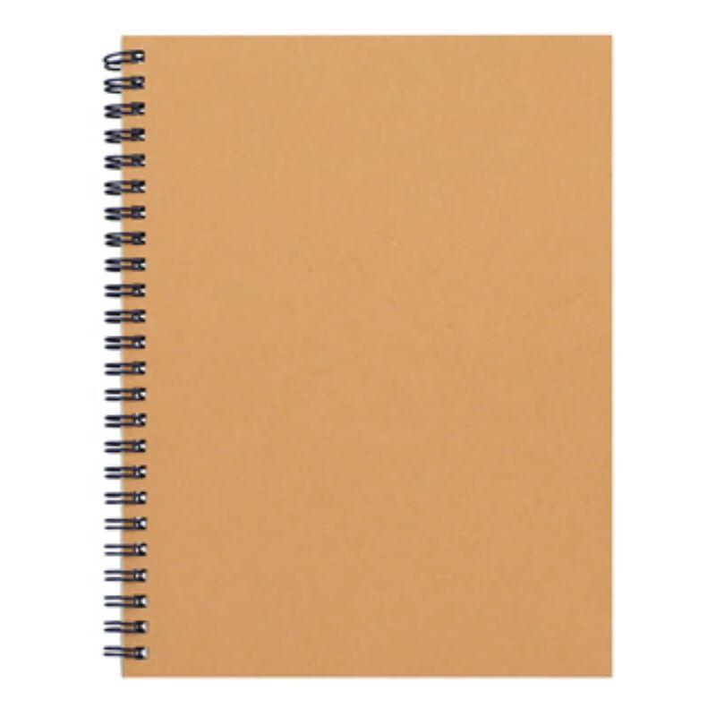 Qixin C4161 Chunshidai B5 Double Spiral Notebook