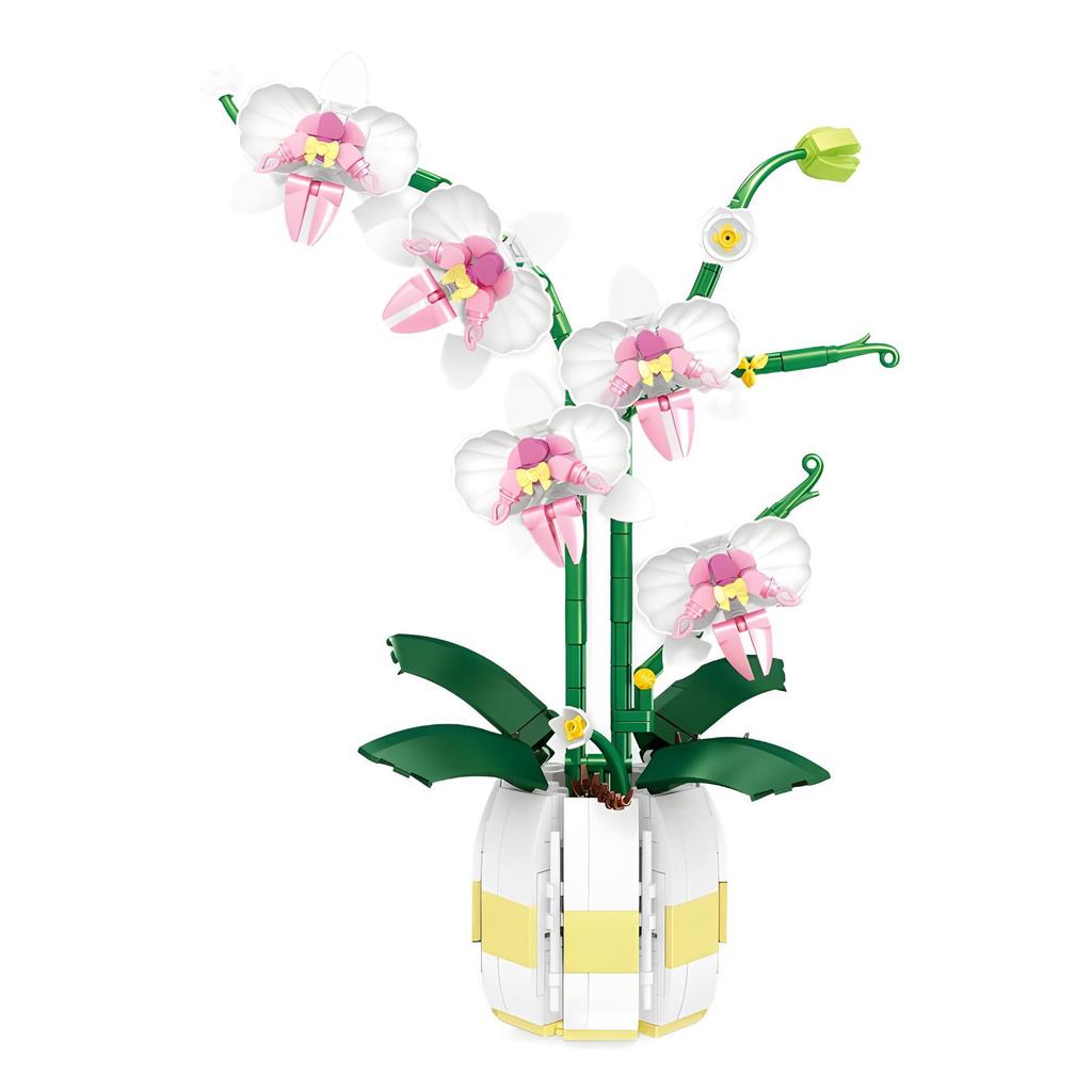Golden Orchid Preserved Flower Bouquet Building Kit - Small Particle Assembly Display Toy for Girls.