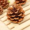 Manual Selection Of Oil Pine Photo Props, Kindergarten Handmade Materials, Christmas Pine Cone Pendant, Northern Pine Cone 1Kg Price