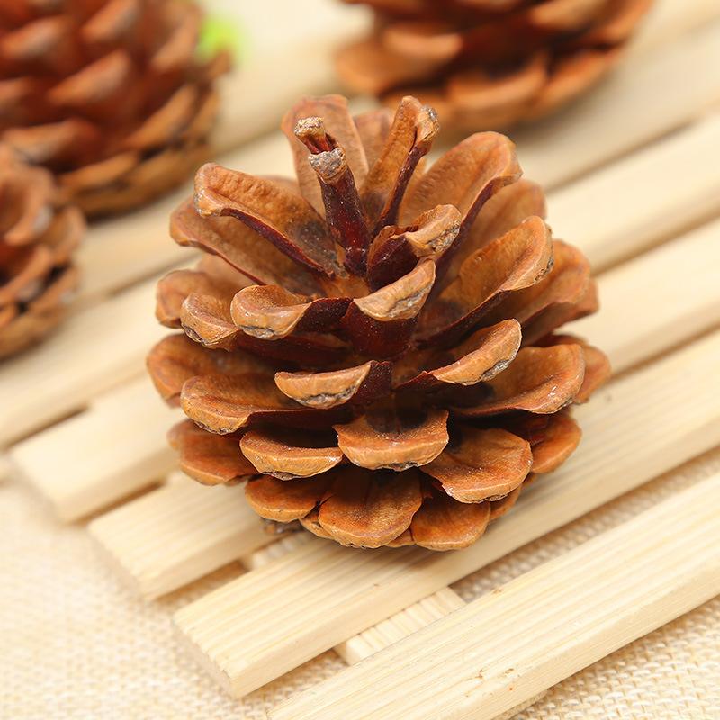 Manual Selection Of Oil Pine Photo Props, Kindergarten Handmade Materials, Christmas Pine Cone Pendant, Northern Pine Cone 1Kg Price
