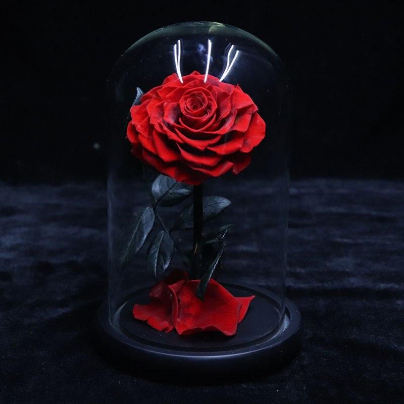 Ewige Blumen Valentinstag Geschenk Kleine Prinz Geschenk Box Rose Sonnenblume Glas Abdeckung Mit Basis Gunstig Kaufen Preis Kostenloser Versand Echte Bewertungen Mit Fotos Joom