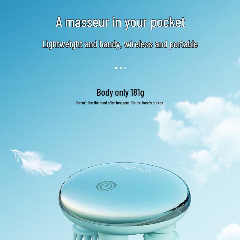 OGAWA OG2901 Smart Wet/Dry Head Massager