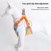 Breathable Vest-Style Dog Harness and Leash for Small Breeds