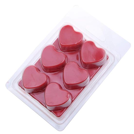 20Pcs Wax Mold Box Durable Leak-proof Design Transparent Plastic Candle Mold for DIY