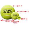 Wilson Tennisball ROLAND GARROS 9 JUMBO TBALL Garros Tour 9 Jumbo Durchmesser 22cm Gelb WRT1419YD (Roland T-Ball)