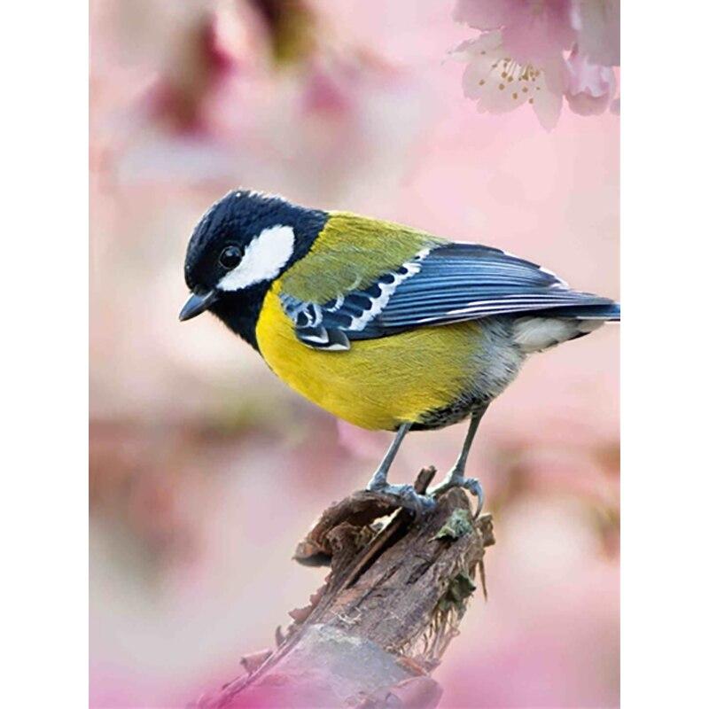 

Новый 5D DIY алмазная живопись птица Алмазная вышивка животные вышивка крестиком полная квадратная круглая дрель ремесла домашний декор ручной подарок Full Round 30x40CM