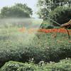 GARDENA Profi System Spray Lance 92cm for 19mm Product Up To 5 Years Sprinkler, Long, Hose, 02849-20, Warranty