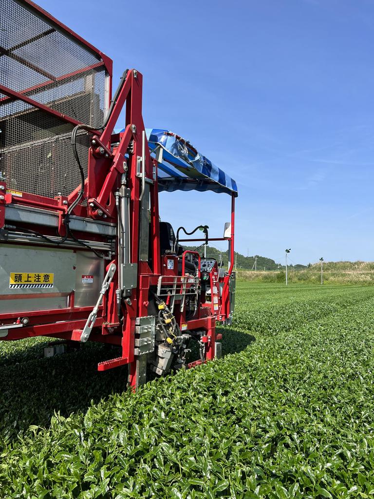 Yamashiro Bussan Thé Vert Biologique Thé Infusé au Matcha 2g×70P Grande Capacité Thé Cultivé Biologique JAS