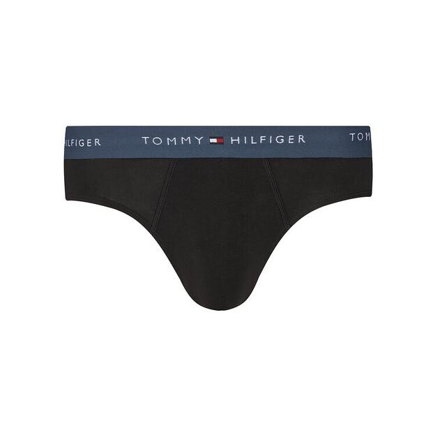 Tommy Hilfiger Briefs UM0UM03876