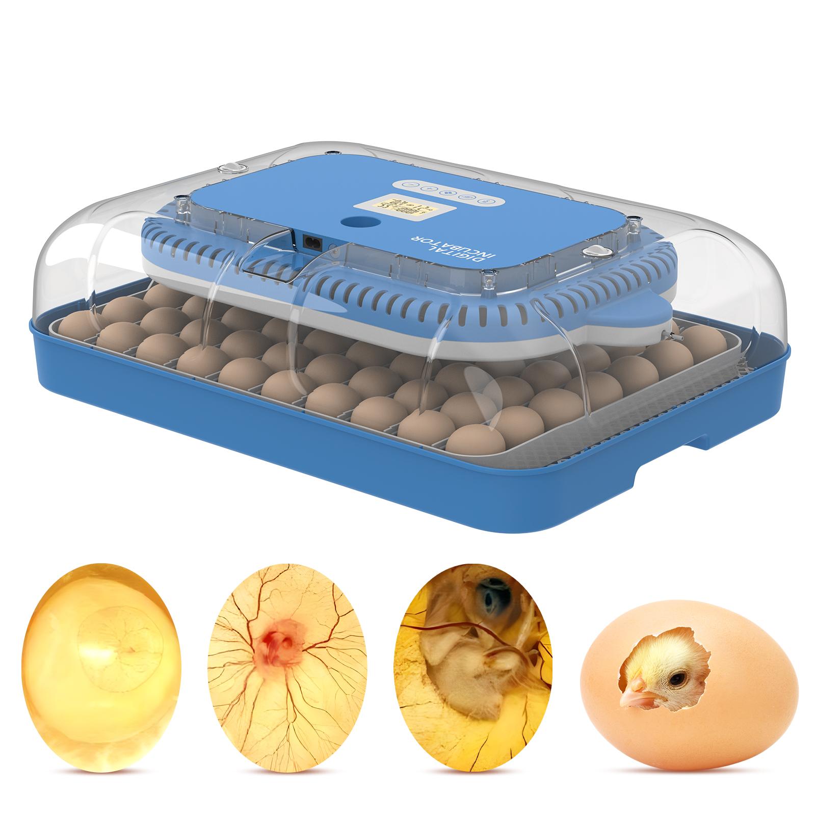 

Инкубатор на 70 яиц 3-в-1 Инкубация Вылупление и Выращивание ЖК-цифровой дисплей температуры EU AC Power