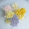 DIY Handmade Jewelry Accessories: Lily & Gypsum Flower Simulation Stamen Pipe Cleaner Center