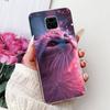 For Xiaomi Redmi Note 9 Pro Case Luxury Painted Cover Soft Silicone Phone Case For Redmi Note 9 Pro Max Note9 S 9S Fundas Bumper