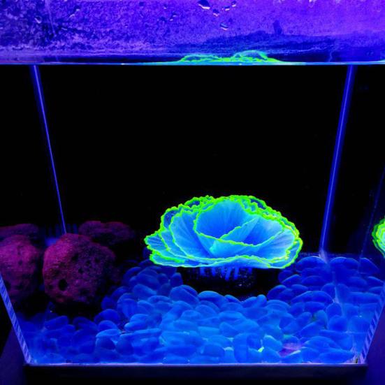 Aquarium Artificial Coral Silicone Coral Figurine Fish Tank Decor Glow-in-The-Dark Faux Coral with Suction Cup Underwater Landscape for Betta Fish