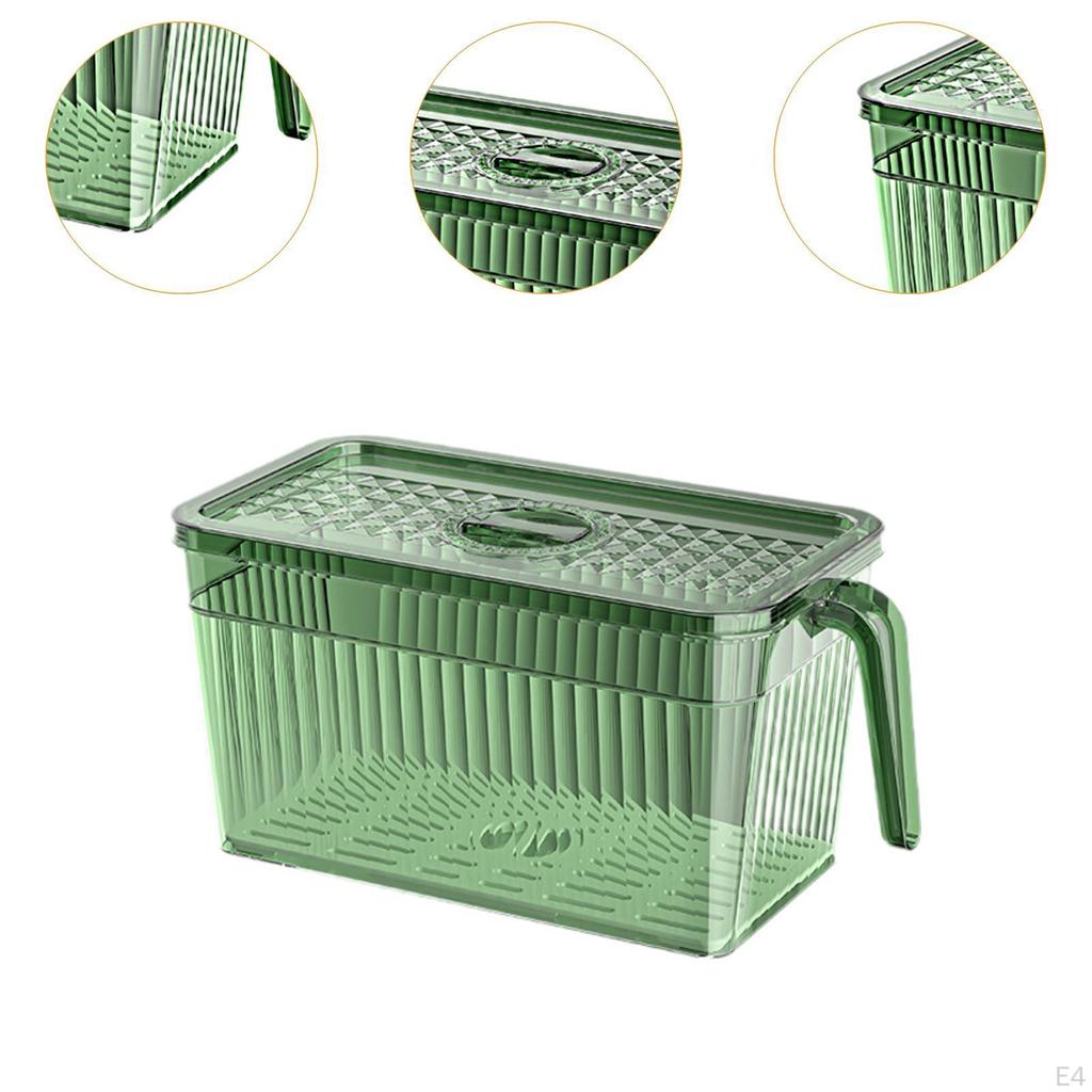 Food Organizer Container for Fridge with Drainage System