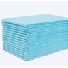 Thickened Disposable Pet Urine Pads for Dogs and Cats