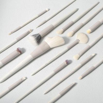 Cangzhou Makeup Brush Set: Nose, Shadow, Concealer, Blush, Powder, Foundation, Lip, Contour Brushes & Beauty Tools.