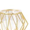 3D Geometric Tabletop Flower Vase, Terrarium Air Holder Glass Display Er Table Centerpiece