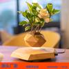 Creative Magnetic Levitation Potted Bonsai Plants