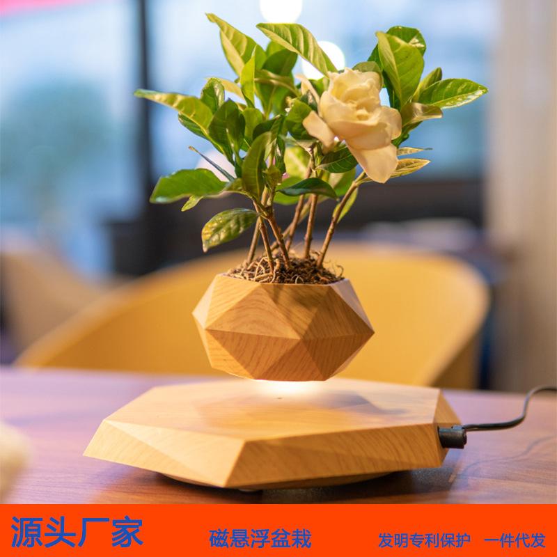 Creative Magnetic Levitation Potted Bonsai Plants
