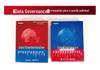 Data Standardization: Enterprise Data Governance