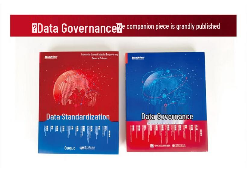 Data Standardization: Enterprise Data Governance