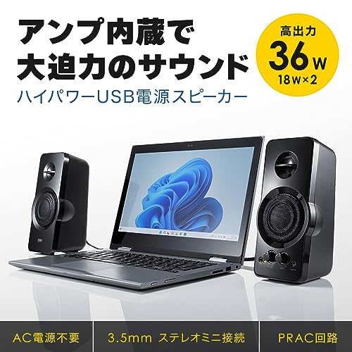 Sanwa Supply High-Power USB Powered Speaker MM-SPL19UBK