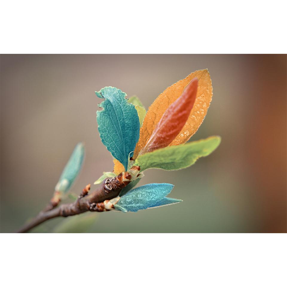 5D DIY Flowers Diamond Painting Rhinestone Landscape Picture Full Diamond Embroidery Mosaic Home Decor Gift Cross Stitch Kit