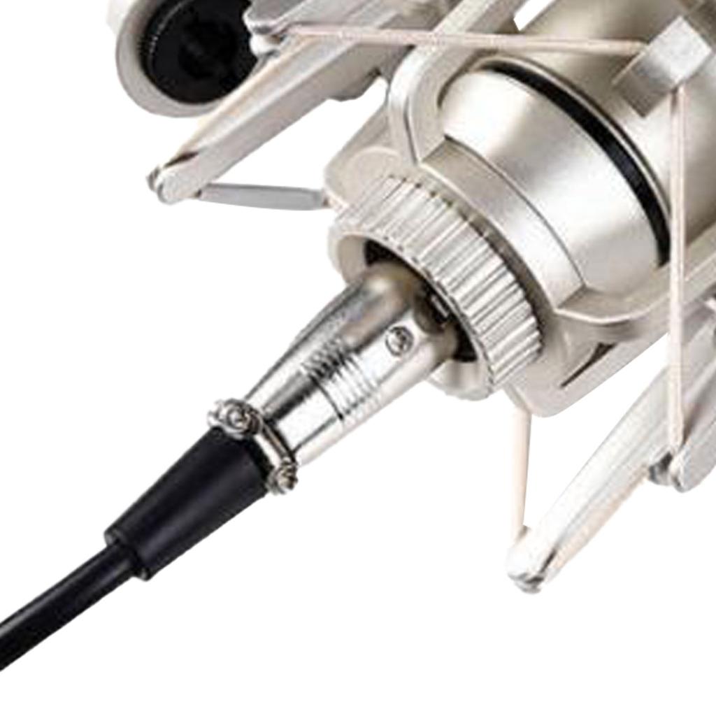 Condenser Microphone 48V Professional Large Diaphragm for Singing Live Streaming