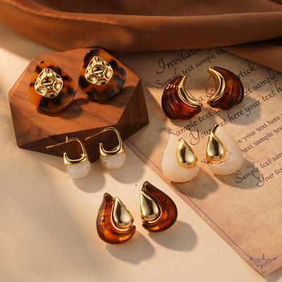 Retro Amber Coffee Earrings Female Tortoiseshell High-end Light Luxury Retro Hong Kong Style Niche Unique Earrings