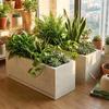 Lilang Rectangular Cement Planter